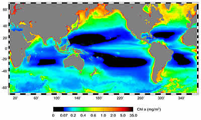 NOAA Ocean deserts