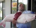 albinocatfish53