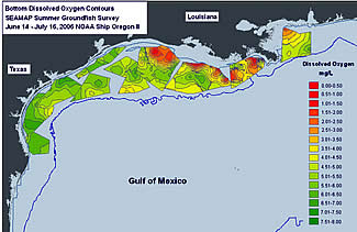 bottom dissolved oxygen