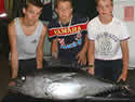 britfish