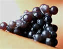 caviar