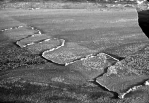 finger rafting ice sheet