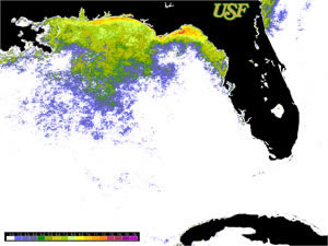 florida satellite2