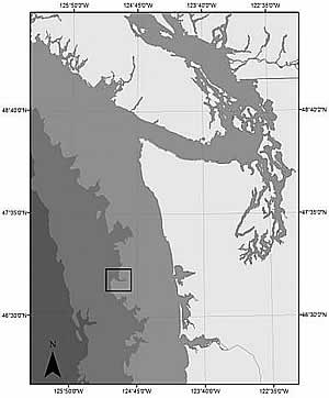 glass reef washington state