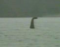 lochness