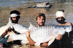 mahseer