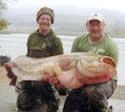 monstercatfish