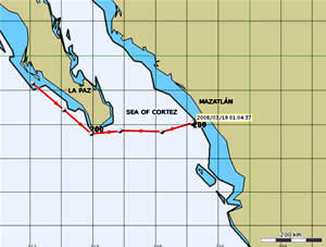 monterey bay white shark travel map