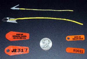 mote shark tag