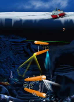 robot hunt
