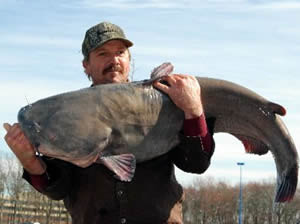 ron lewis record catfish