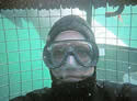 sharkdiver