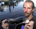 snakehead