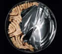 tunacan