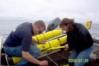 underwater glider