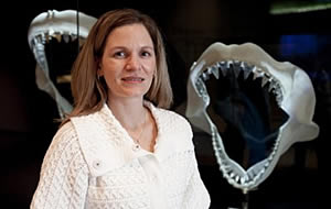Dr Ashley Lentz shark bite scale surgeon