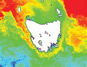 Leeuwin Current Tasmania