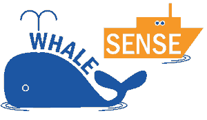 NOAA whale SENSE