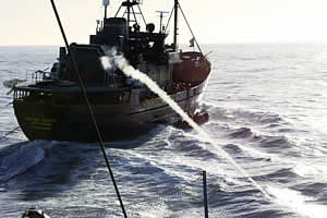 Steve Irwin fires rocket launcher