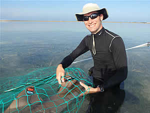 accelerometer nurse shark