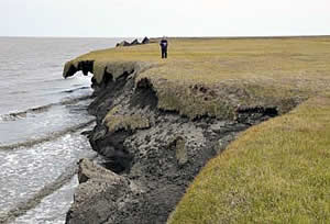 arctic coastline erosion