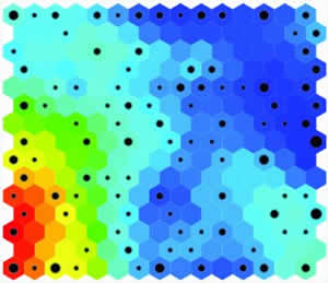 bacterial model 2 d SOM