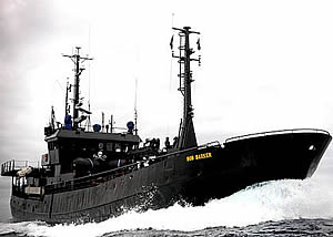 bob barker sea shepherd