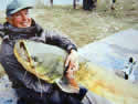 donwheelerangler