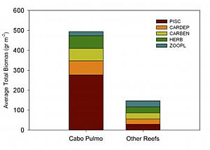 fish biomass