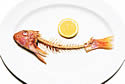 fishbone