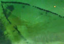 fishtrapgooglebritain