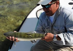 florida bonefish