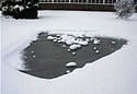frozenpond