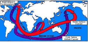 global ocean conveyor