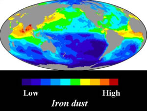 iron marine ecosystems