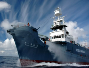 japanese whaling vessel yushin maru