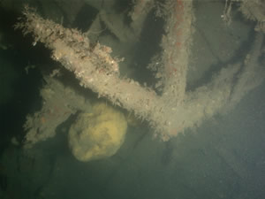 joffre wreck anchor