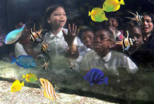 kids aquarium