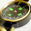 magneticsenses