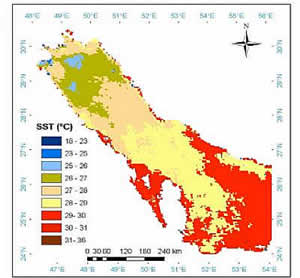 modis satellite kuwait bay