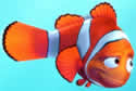 nemoclownfish