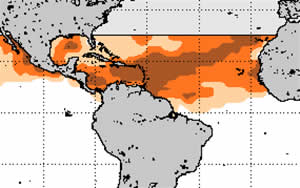 noaa coral bleaching