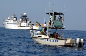 noaa whale research sonar