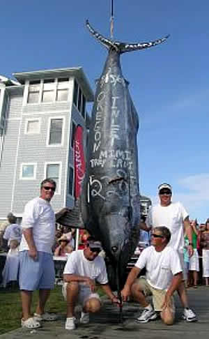 north carolina record blue marlin