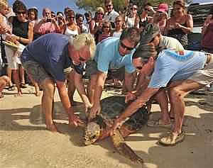 obama turtle release