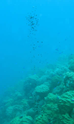 oil in water chuuk