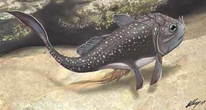 placoderm fish sex