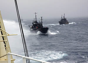 sea shepherd bob barker