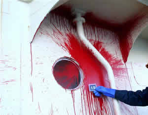 sea shepherd paint attack