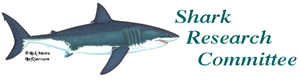 shark research committee